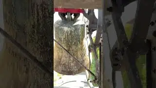 Le campane del Mambruk suonano per la festa patronale #sound #musicvideo #ytshorts #bells #como