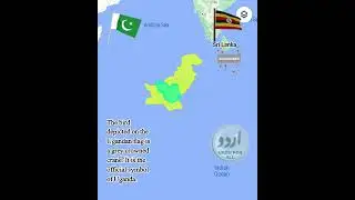 Pakistan vs Uganda | پاکستان بمقابلہ یوگنڈا