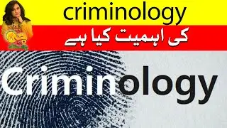 What is the significance of Criminology? | G Utha Pakistan