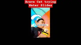 #waterpark #catmemes #catshorts #cat #cats #cutecat #memes #memesdaily #funny #comedy #comedyshorts