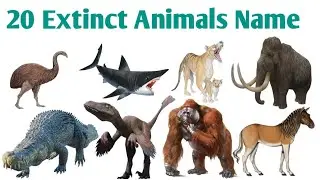 🦣 20 Extinct Animals Names in Hindi and English / 20 विलुप्त जानवरों के नाम /