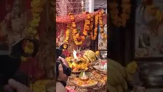 Shivam musical group paloura sa kirtan live rehari colony mobile number 9149543682