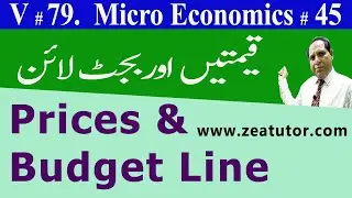 Budget Line | Change in Price | zea tutor | Economics lectures in Urdu/Hindi by Sir Zafar