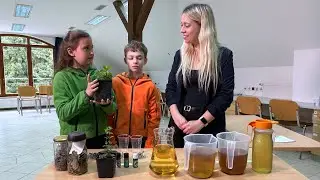 Firbcologi: zdravilne rastline