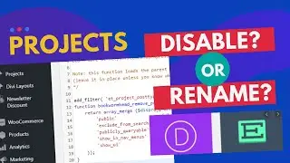 How To Disable And Overwrite The Elements In Divi Projects Section - Extra Custom Post Type Tutorial