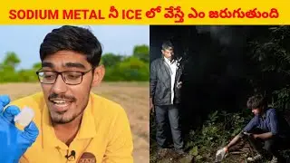 Water against sodium metal | SK Facts Hub #shorts