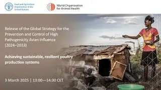 Global Strategy for the Prevention and Control of High Pathogenicity Avian Influenza (2024&ndash;2033)