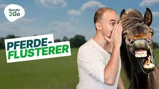 Pferdewirt: Beruf, Ausbildung & Gehalt! 🐎🐴 | Berufe2Go