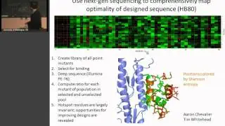 Design of New Protein Therapeutics