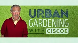 GREEN SPACE in the Big City! | Urban Gardening with Ciscoe | Full Episode
