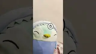 #cute #funny #lifeisbutadream  i got right