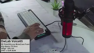Voice65 Alpaca Switch Sound Test