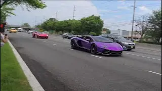 Festival Del Toro All Lamborghini Rally - 50+ Lamborghinis