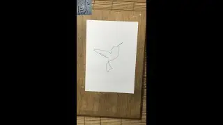 How to Draw a Bird // One Stroke Drawing // Pen Drawing
