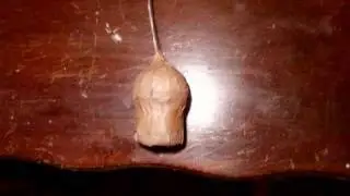 AERIAL SALUTE test