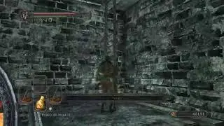 Dual Katana run