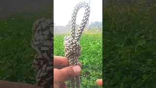 The knot that you tie first time#knotting #knots #bowlineknots #ropeknots #trendingshorts #virlshort