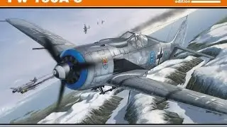 Eduard Profipack 1/72 Fw 190A8 (Final Part)