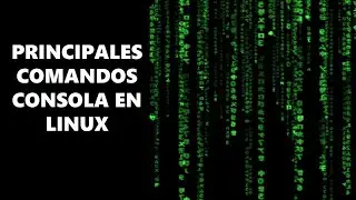 Principales comandos de consola Linux. Comandos que todo novato debería conocer