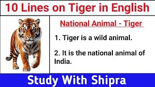 10 Lines Essay on Tiger in English | National Animal Tiger | Short Essay on Tiger  in English |🐅 🐅