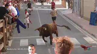Andosilla, Juventud 2022, Encierro Tarde 04/09/22