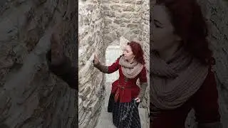 Фестиваль 