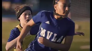 MVLA About Us