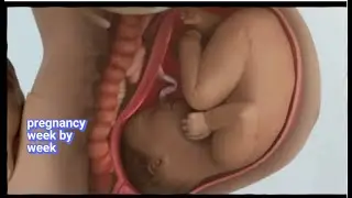 Baby growth from 0 to 9 months
