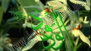 D:\videos atk city\attock city naat 2.mpg