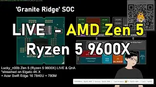 LIVESTREAM - AMD Zen 5 (Ryzen 5 9600X) Test & QnA