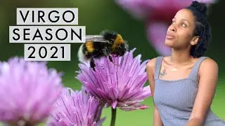 Virgo Season 2021 🐝✨