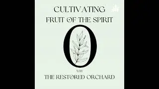 Faithful Without Burnout: A Reflection on Stewardship