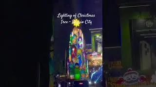Lighting of Christmas Tree - Baguio City, Philippines Dec 1,2024. #PhonesUP #merrychristmas