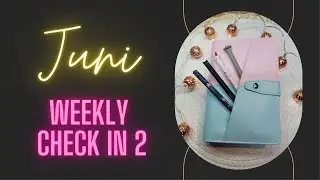 💗Wochenabschluss 2 im Juni 💗Sparen mit der Umschlagmethode💗