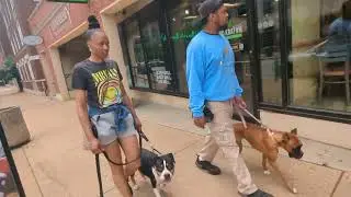 Advanced Obedience Training. Let's get socialized