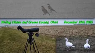 Birding Rural Clinton and Greene County, Ohio! (12-26-2025) | Episode 1
