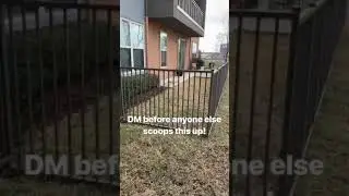 Apartment with a YARD