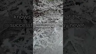 Learn From Scars! #fypシ #shortsvideo #motivation #spiritualtruths #nature #peace #snow #scars #life