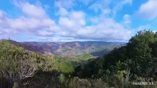 Waimea Canyon from Iliau and Kukui trail