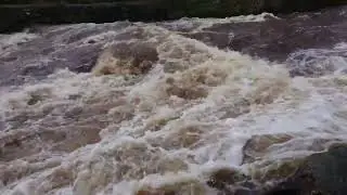 River Endrick Gartness.  (Salmon leap)