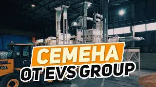Семенная линия Cimbria
