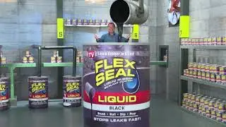 🅱lex 🅱eal