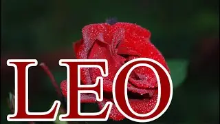 LEO APRIL 2022 MONTHLY LOVE TAROT READING &ldquo;KEEP IT PRIVATE SOMEONE AROUND IS CAUSING DRAMA &hearts;️&hearts;️&hearts;️