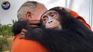 Heartwarming Animal Rescues That Will Melt Your Heart 💔