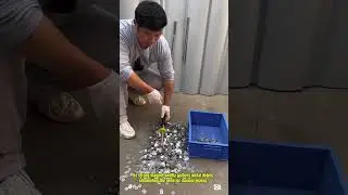 Effortless Metal Cleanup with the Magnetic Nail Co