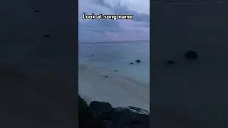 Just write I subbed in the comment section and I will! #cookislands #fyp #blackrocks #viral #sunset