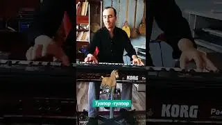 Тулпор