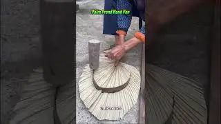 🌴 Master Craftsman Makes a Palm Frond Hand Fan #shortsfeed #satisfying