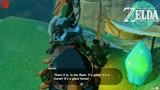 Legend Zelda Tears of the Kingdom - Shrine Quest: Ride The Giant Horse Guide & Faron Grasslands