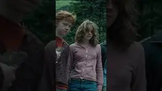 Buckbeak been executed #shorts #buckbeak #harrypotter #ronweasley #hermionegranger